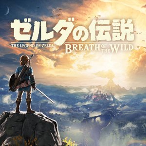Image for 'The Legend Of Zelda: Breath Of The Wild Original Soundtrack [Limited Edition]'