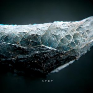 'Svev'の画像