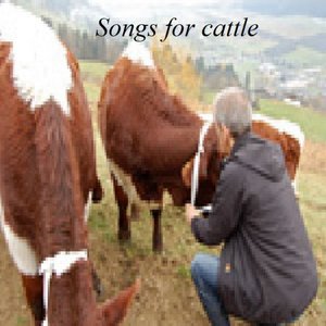 Image for 'Songs for cattle'