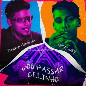 Image for 'Vou Passar Gelinho'