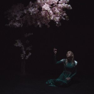 Изображение для 'As the Light Left'