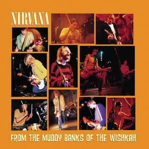 Изображение для 'From The Muddy Banks Of The Wishkah (Live)'