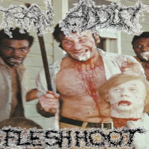 Image for 'Raw Addict / Flesh Hoot'