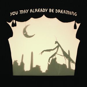 Image for 'You May Already Be Dreaming'