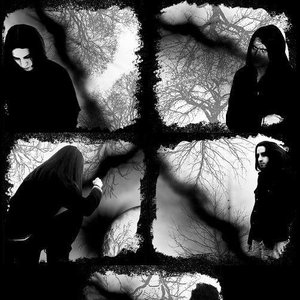 Image for '...'