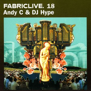 Image for 'Fabriclive 18: Andy C & DJ Hype'