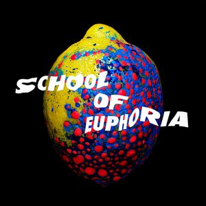 Image for 'School of Euphoria'