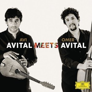 Image for 'Avital Meets Avital'