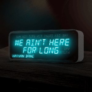 “We Ain't Here For Long”的封面