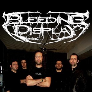 Image for 'Bleeding Display'