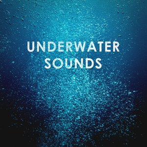 'Underwater Sounds: Diving into Sleep and Detente ASMR'の画像