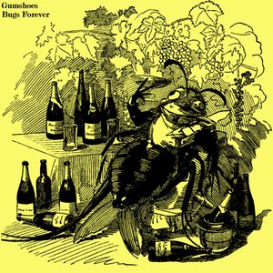 Image for 'Bugs Forever'