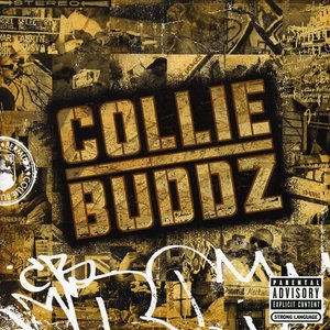 Bild för 'Collie Buddz'