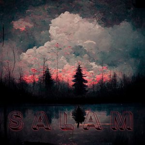 Image for 'Salam'
