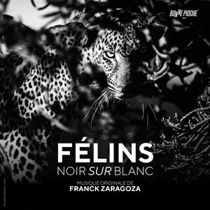 Image for 'Félins noir sur blanc (Bande originale du film)'