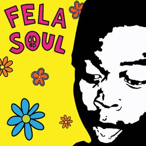 Bild för 'Fela Soul [Deluxe Edition]'