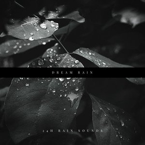 “Dream Rain”的封面