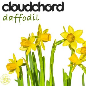 “Daffodil”的封面