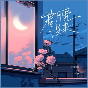 “若月亮没来（若是月亮还没来）”的封面
