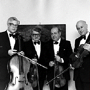 Bild för 'The Amadeus Quartet'