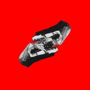 Image for 'VIDAMORTECONTEÚDO'