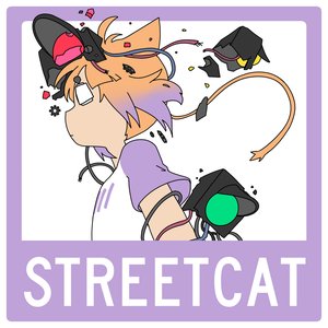 Image for 'streetcat'