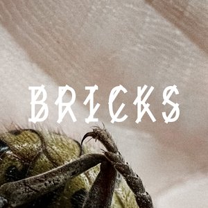 Image for 'Bricks'