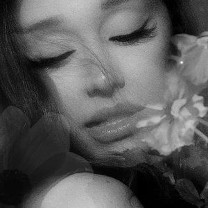 Изображение для 'petal'