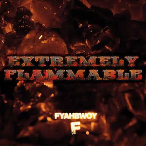Imagen de 'Extremely Flammable'