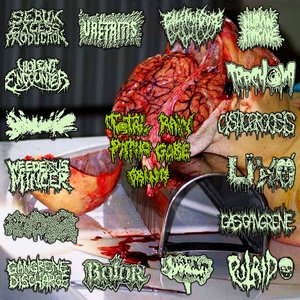 Image for 'Total Raw Patho Gore Grind - 16 Way Split'