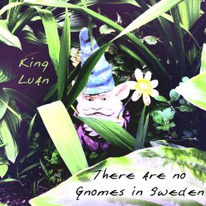 Imagem de 'There Are No Gnomes in Sweden'