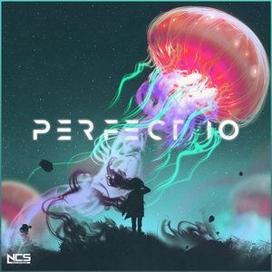 Zdjęcia dla 'Perfect 10 (Unknown Brain & RudeLies VIP)'