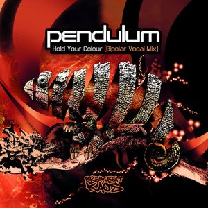 Immagine per 'Hold Your Colour (Bi-Polar Remixes)'