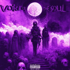 Image for 'VOICE OF THE SOUL'