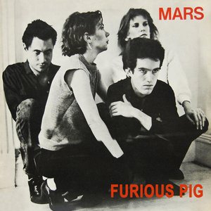 Image for 'Furious Pig'