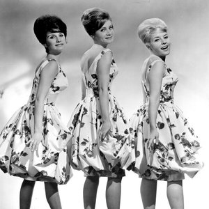 Image for 'The Angels'