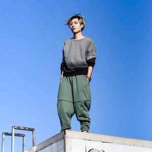Image for '葛东琪'