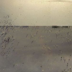 Image pour 'Hold Everything Dear'