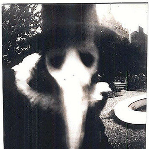 Plaguetodeath