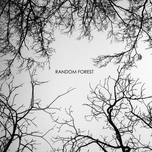 Imagen de 'Random Forest'