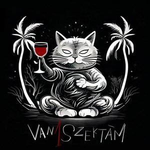 “van1szektám”的封面