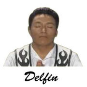 Image pour 'Delfín'