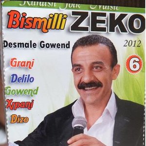 Image for 'bismilli zeko'