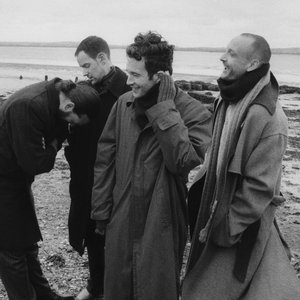 “The 1975”的封面