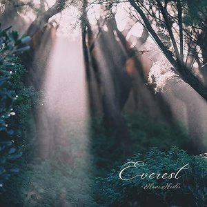 “Everest”的封面