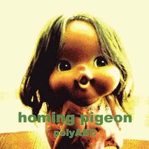 Imagem de 'homing pigeon'