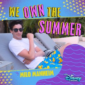 Image for 'We Own the Summer'
