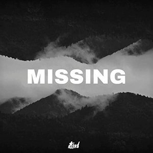 Immagine per 'Missing'