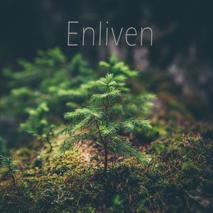 Image for 'Enliven'