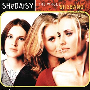 “The Whole Shebang”的封面